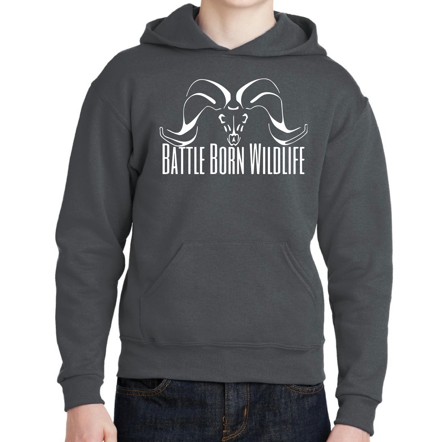 Bighorns Beware Hoodie