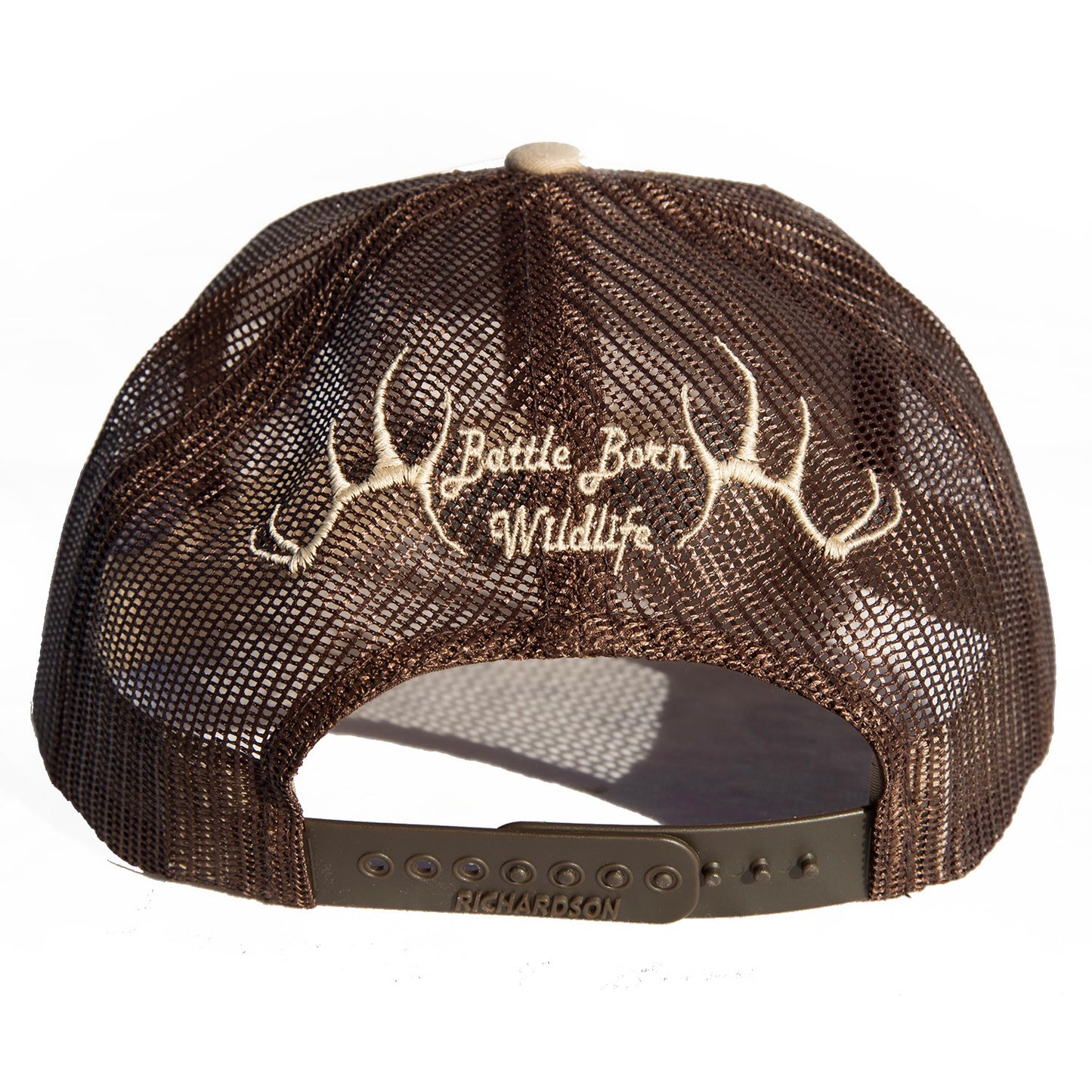 Bighorns Beware Snapback
