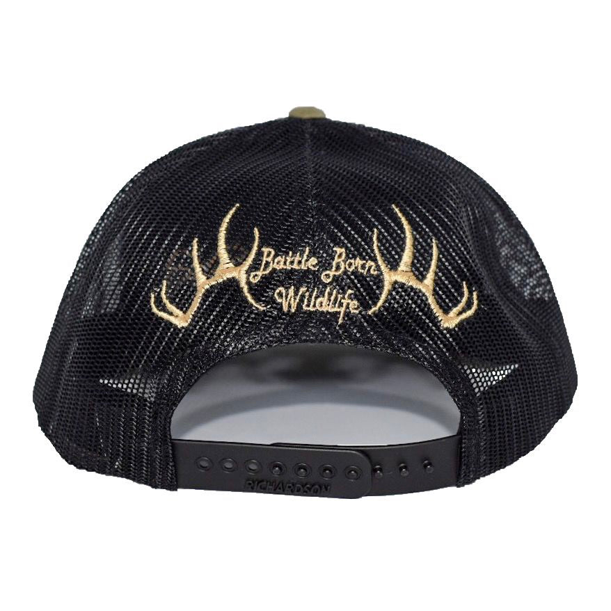 Bighorns Beware Snapback