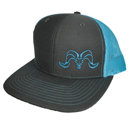 Bighorns Beware Snapback