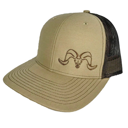 Bighorns Beware Snapback